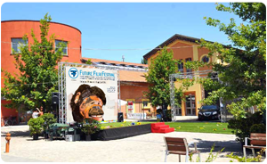 Cinema Lumiere Bologna